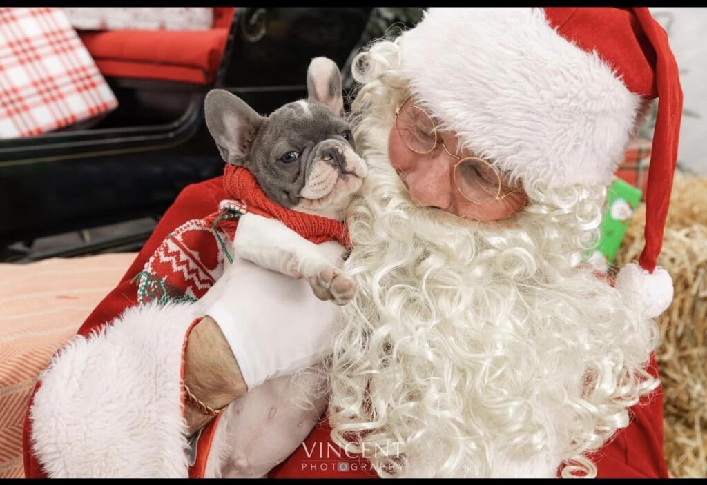 Pet Pictures with Santa